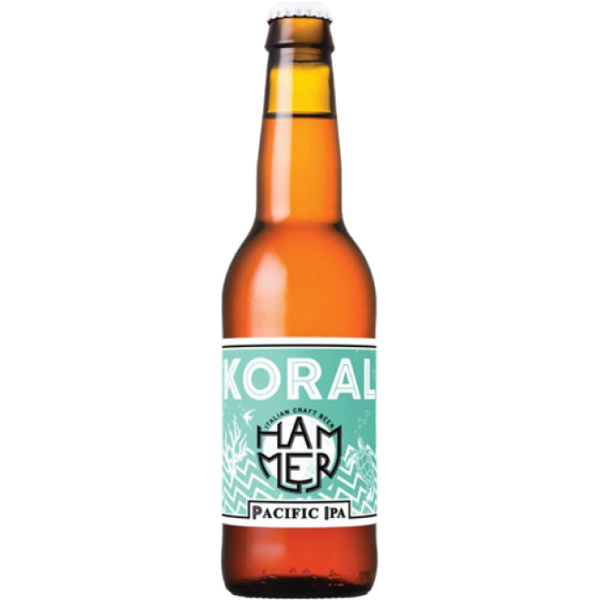 0002302_birra-hammer-koral-63-033-lt